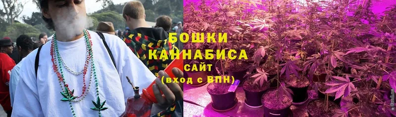 Шишки марихуана OG Kush  наркота  Демидов 